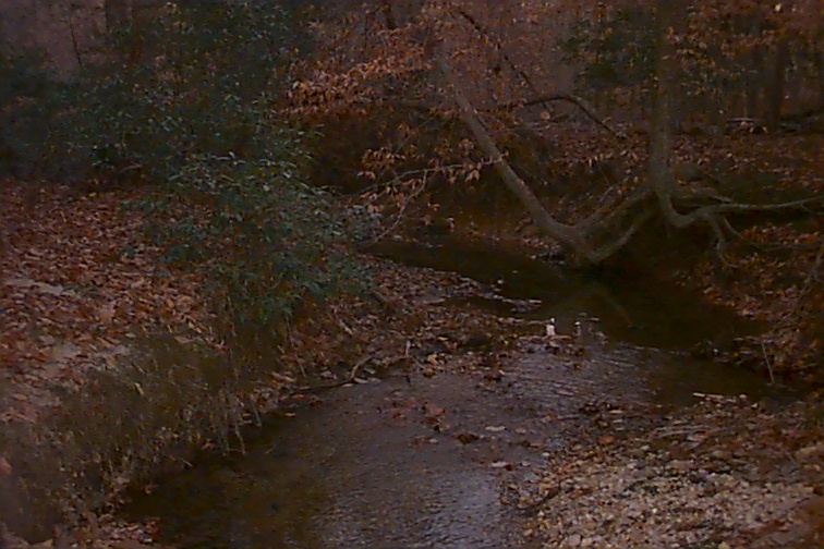 Field photo showing stream conditions at site STMA-108-R-2000-01