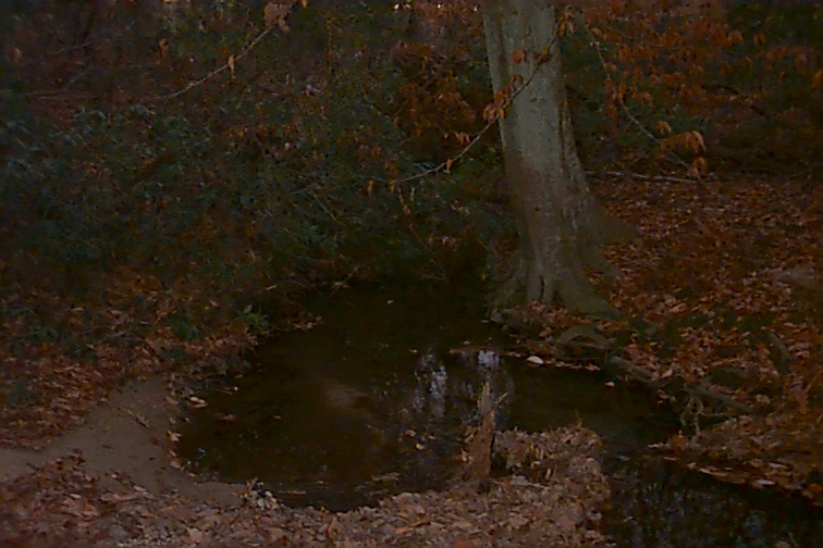Field photo showing stream conditions at site STMA-108-R-2000-02