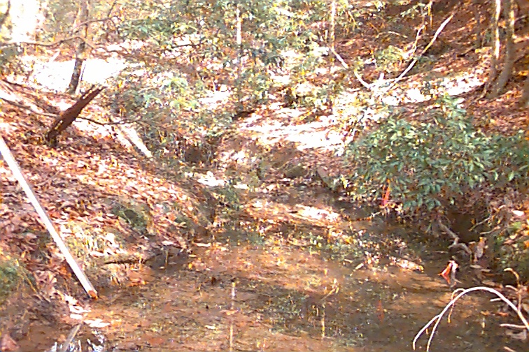 Field photo showing stream conditions at site STMA-110-R-2000-02