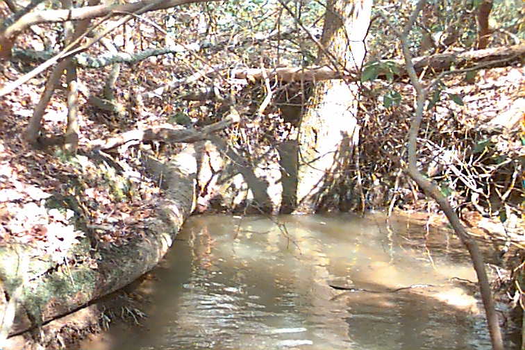 Field photo showing stream conditions at site STMA-110-R-2000-03