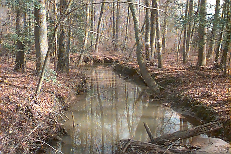 Field photo showing stream conditions at site STMA-111-R-2000-02
