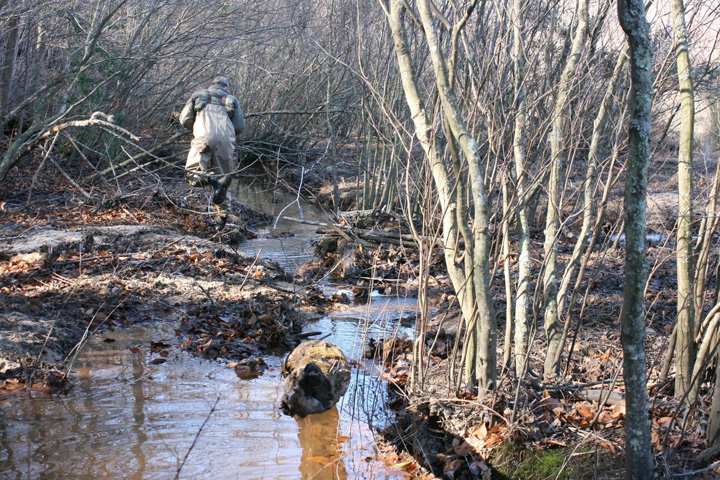 Field photo showing stream conditions at site STMA-113-A-2011-1
