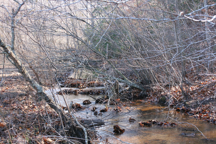 Field photo showing stream conditions at site STMA-113-A-2011-2