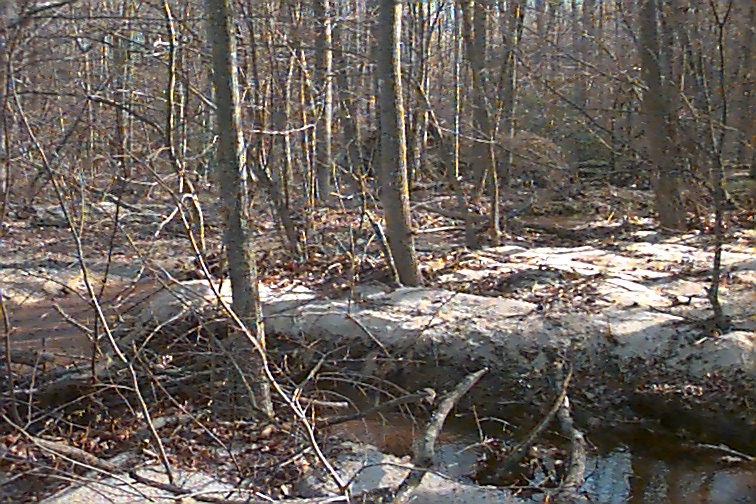 Field photo showing stream conditions at site STMA-113-R-2000-02