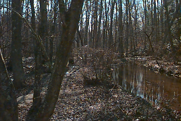 Field photo showing stream conditions at site STMA-113-R-2000-03