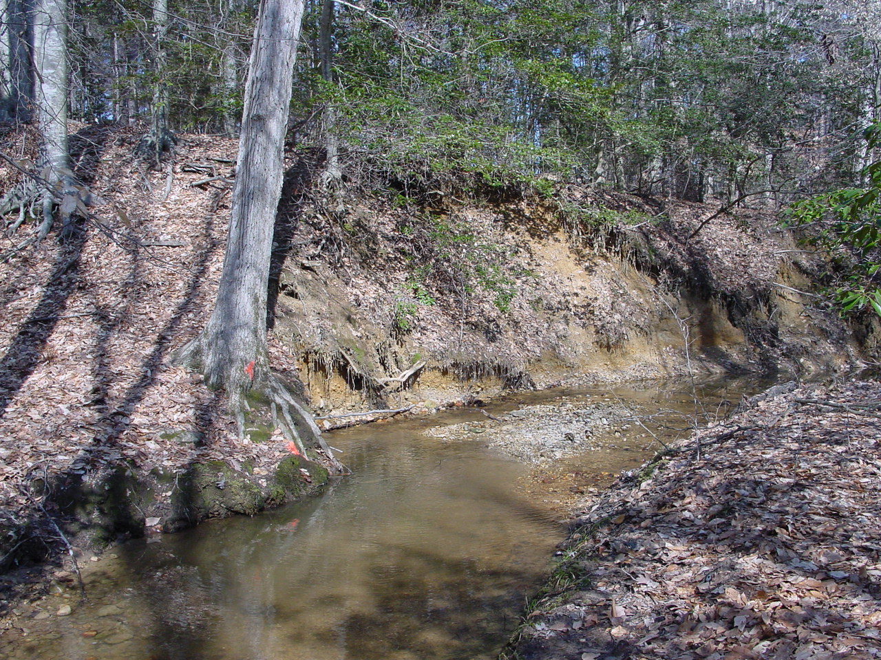 Field photo showing stream conditions at site STMA-113-R-2003-1