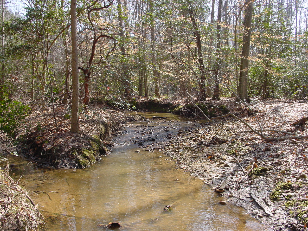Field photo showing stream conditions at site STMA-113-R-2003-3