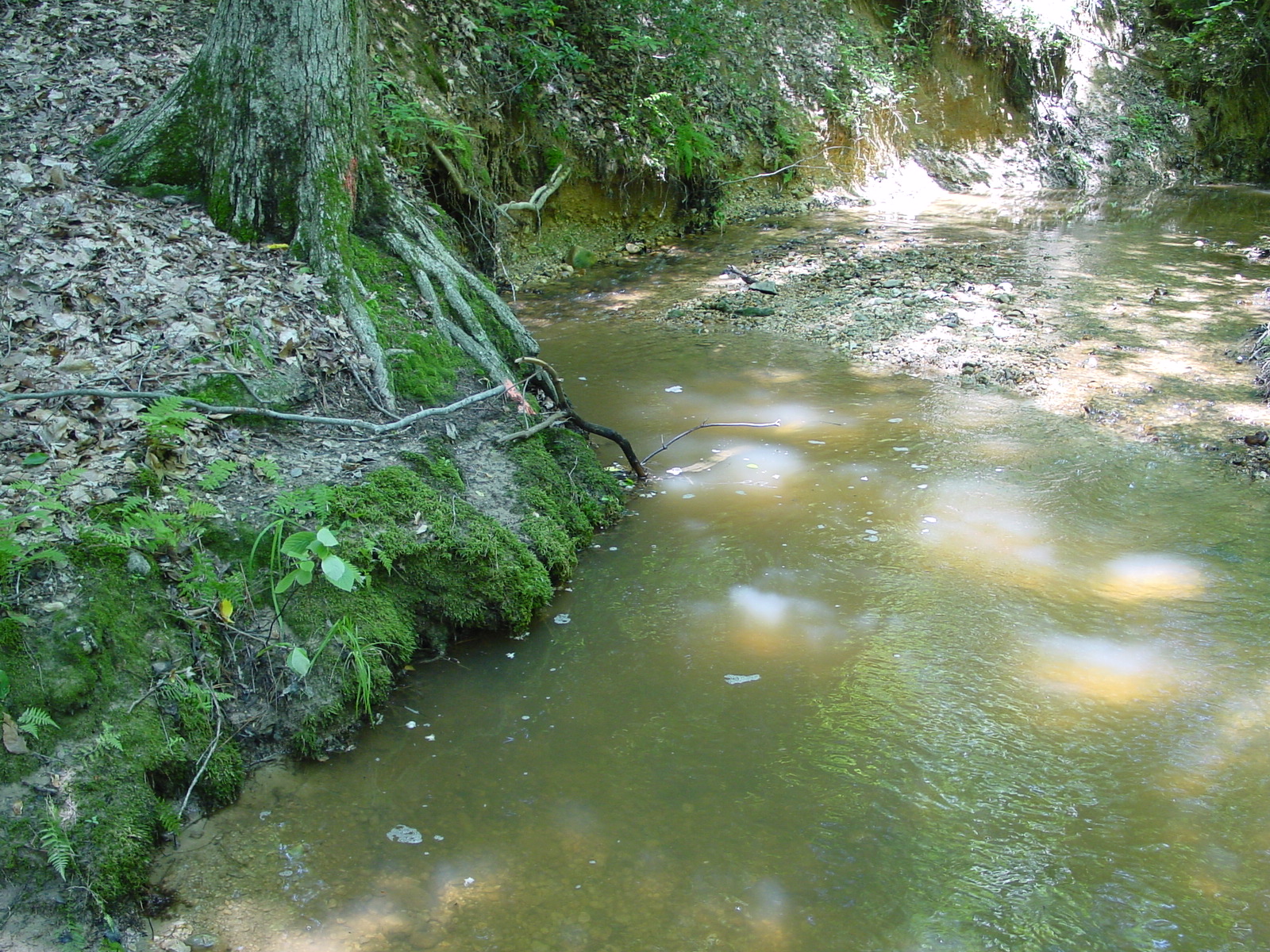 Field photo showing stream conditions at site STMA-113-R-2003-4