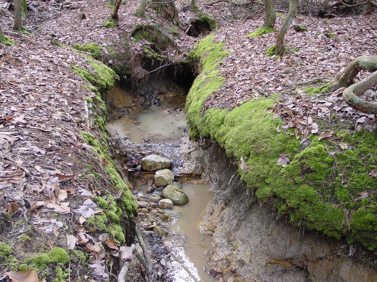 Field photo showing stream conditions at site STMA-115-R-2003-1