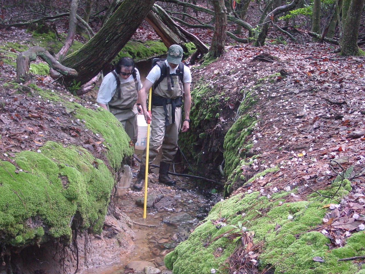 Field photo showing stream conditions at site STMA-115-R-2003-4