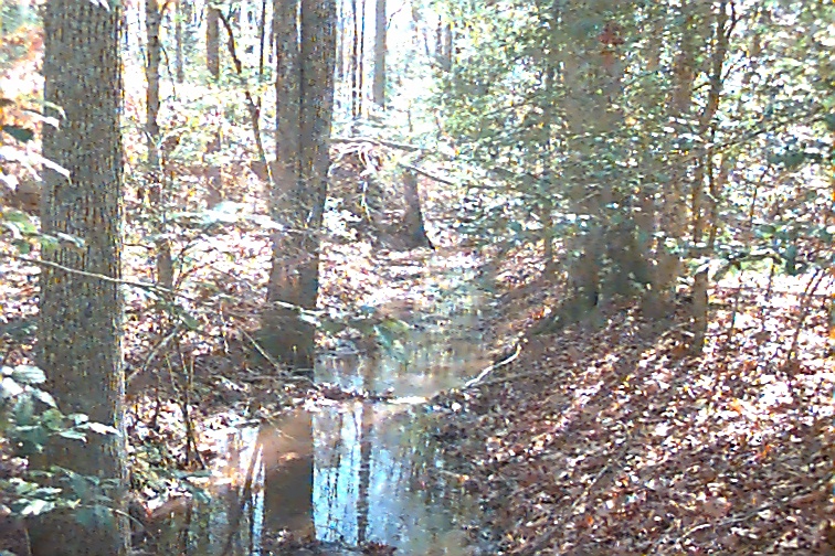 Field photo showing stream conditions at site STMA-116-R-2000-02