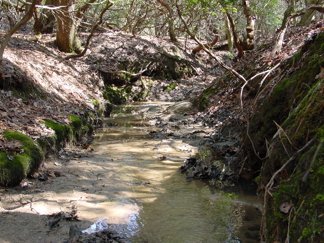 Field photo showing stream conditions at site STMA-119-R-2003-1
