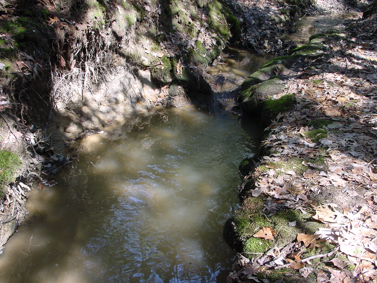 Field photo showing stream conditions at site STMA-119-R-2003-2
