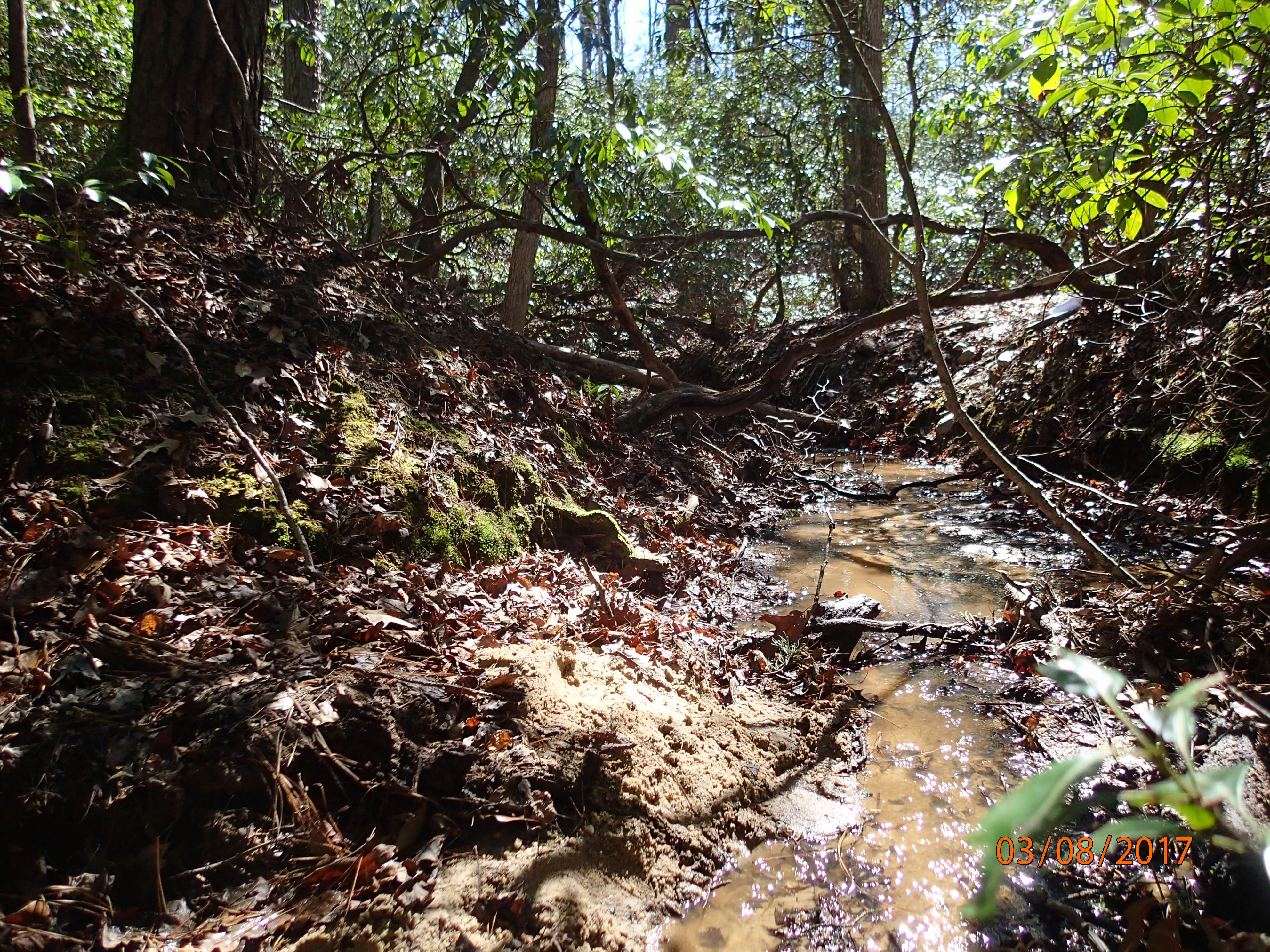 Field photo showing stream conditions at site STMA-119-R-2017-MidpointDownstream