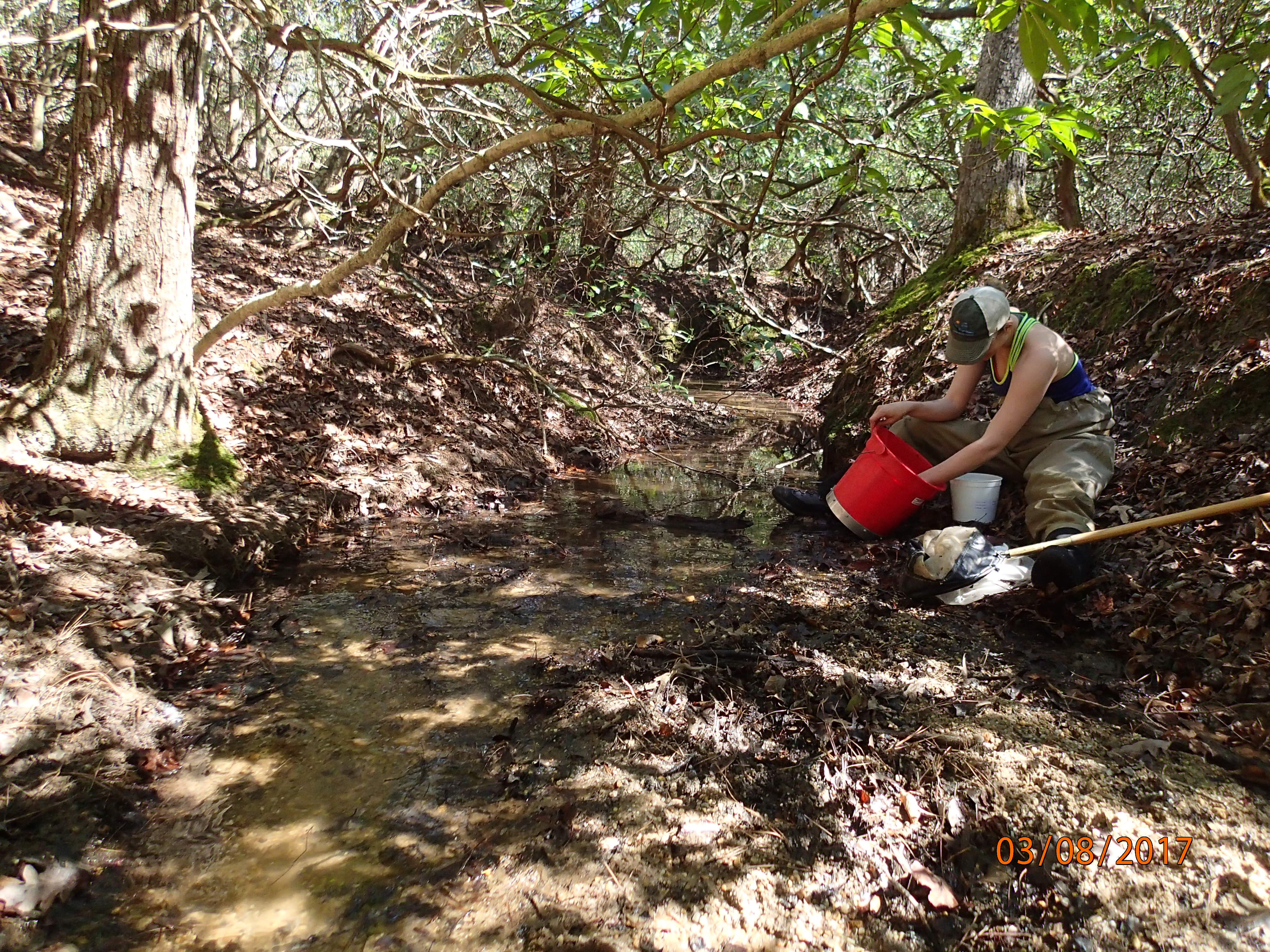 Field photo showing stream conditions at site STMA-119-R-2017-MidpointUpstream