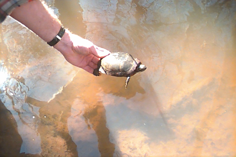 Field photo showing stream conditions at site STMA-202-R-2000-03