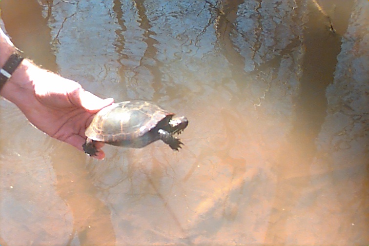 Field photo showing stream conditions at site STMA-202-R-2000-04