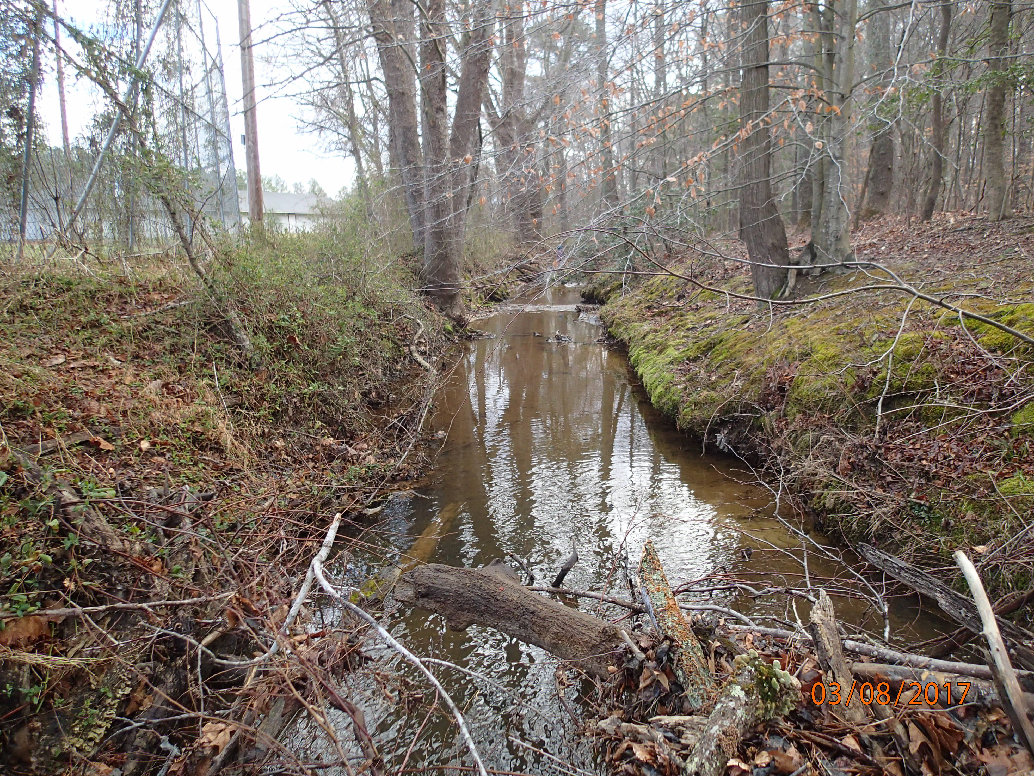 Field photo showing stream conditions at site STMA-208-R-2017-MidpointDownstream