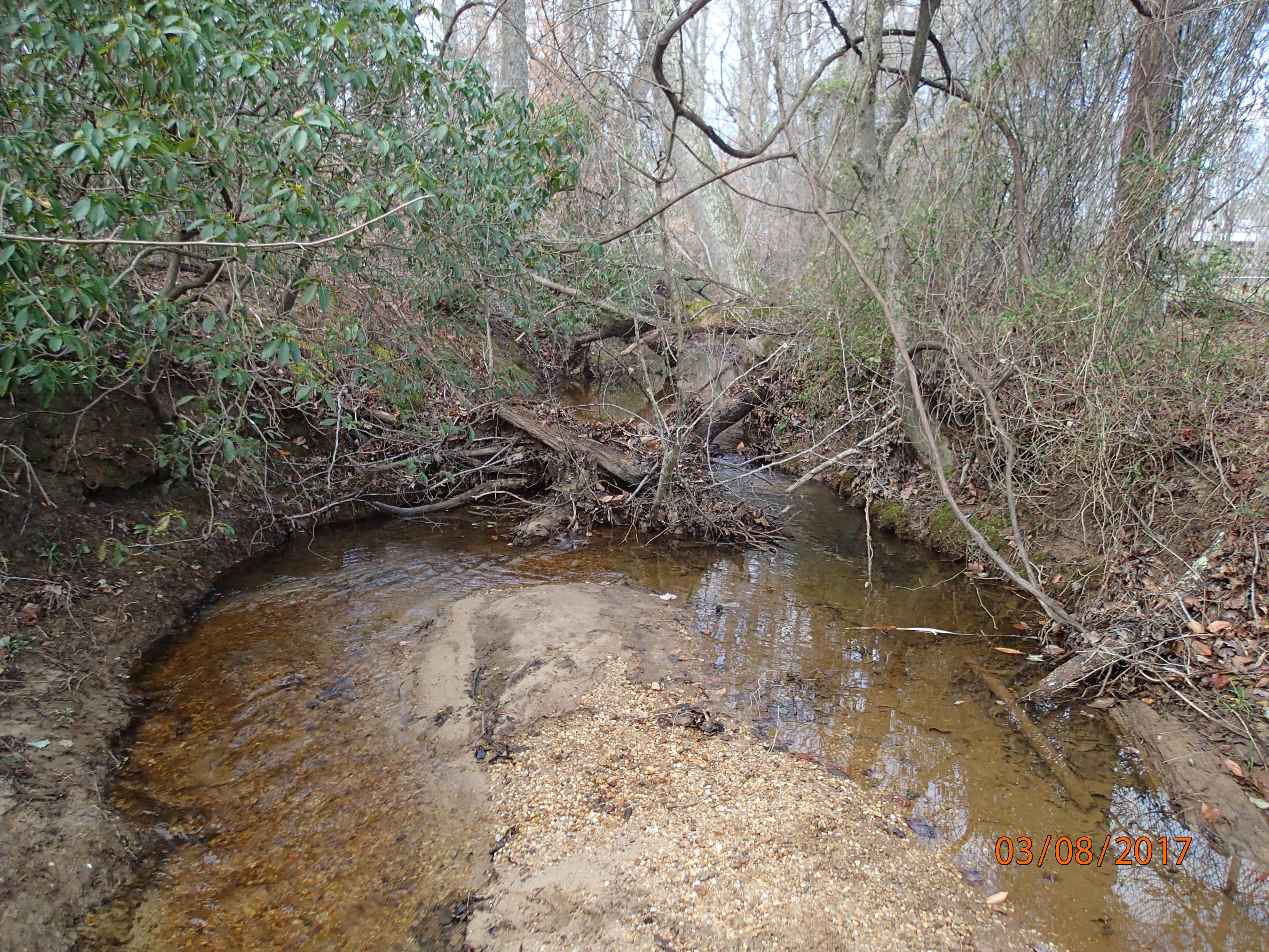 Field photo showing stream conditions at site STMA-208-R-2017-MidpointUpstream