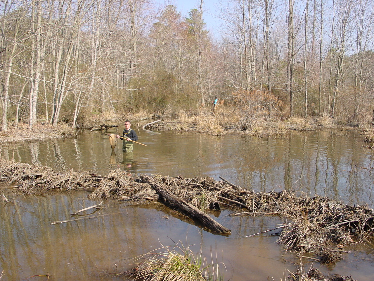 Field photo showing stream conditions at site STMA-218-R-2003-2
