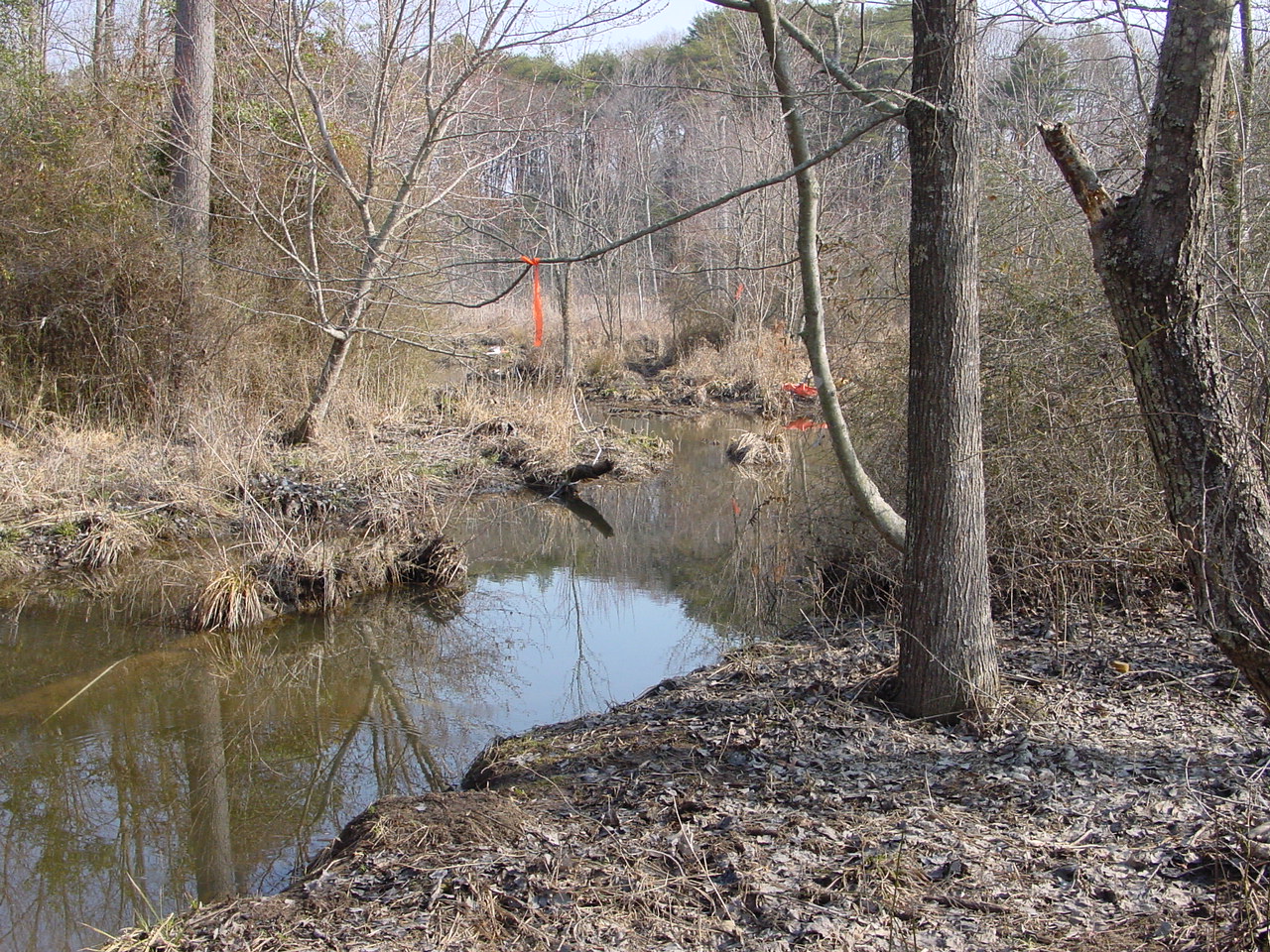 Field photo showing stream conditions at site STMA-218-R-2003-3