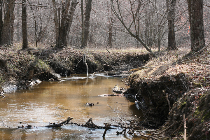Field photo showing stream conditions at site STMA-306-A-2009-1