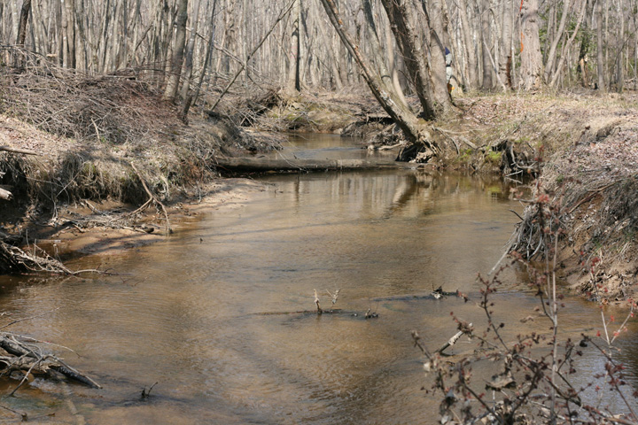 Field photo showing stream conditions at site STMA-306-A-2009-2