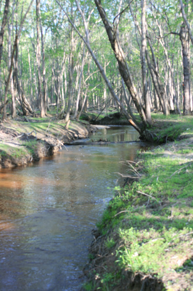 Field photo showing stream conditions at site STMA-306-A-2010-1