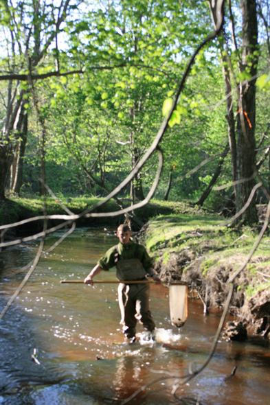 Field photo showing stream conditions at site STMA-306-A-2010-2