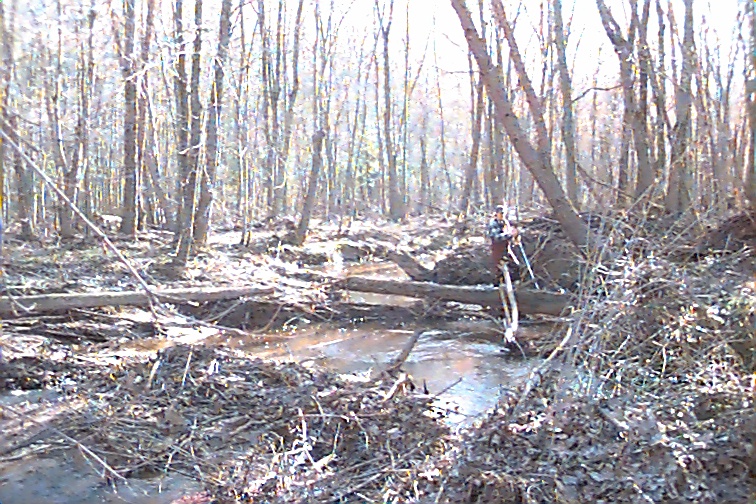 Field photo showing stream conditions at site STMA-306-R-2000-01