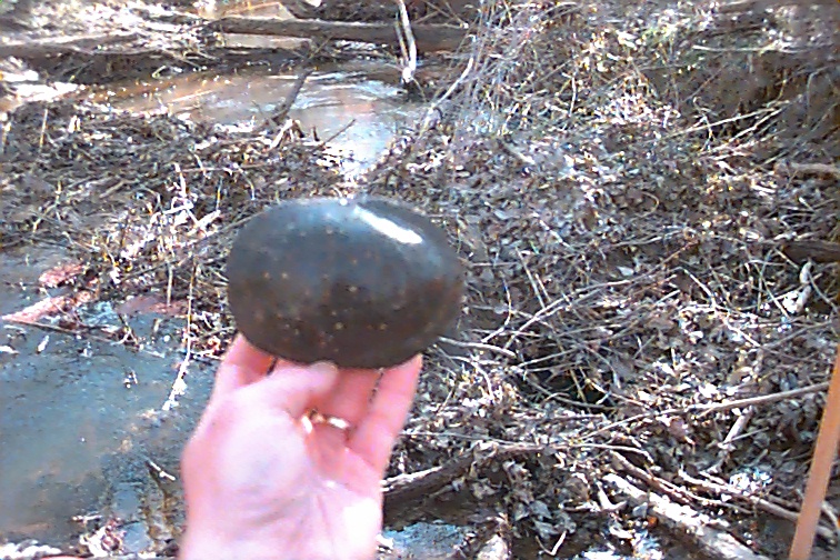 Field photo showing stream conditions at site STMA-306-R-2000-02