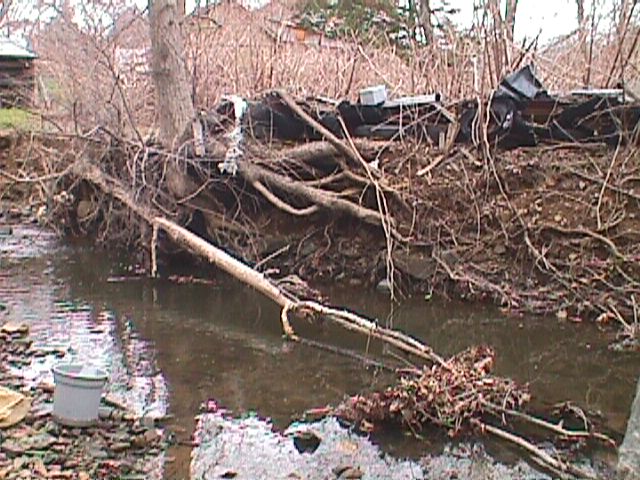 Field photo showing stream conditions at site SWAN-104-R-2000-09_06