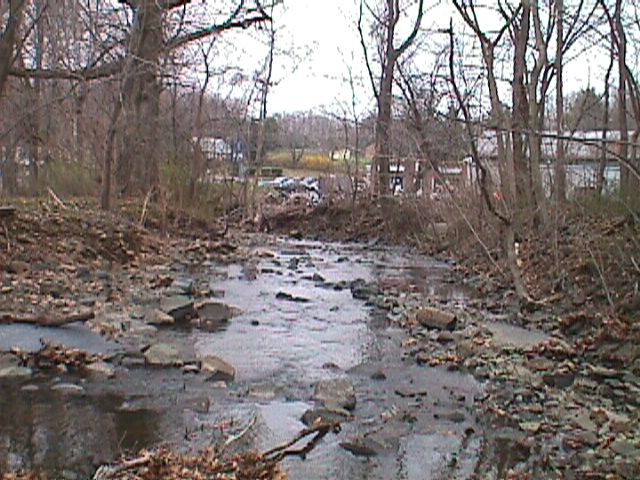 Field photo showing stream conditions at site SWAN-104-R-2000-09_08