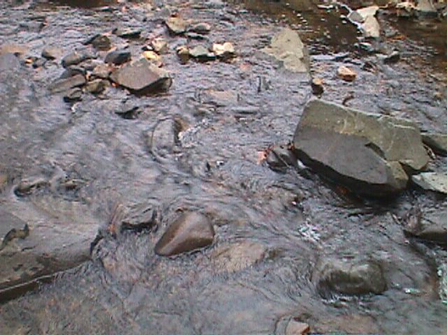 Field photo showing stream conditions at site SWAN-104-R-2000-09_09