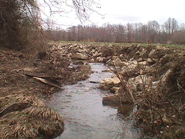 Field photo showing stream conditions at site SWAN-105-R-2000-9_11