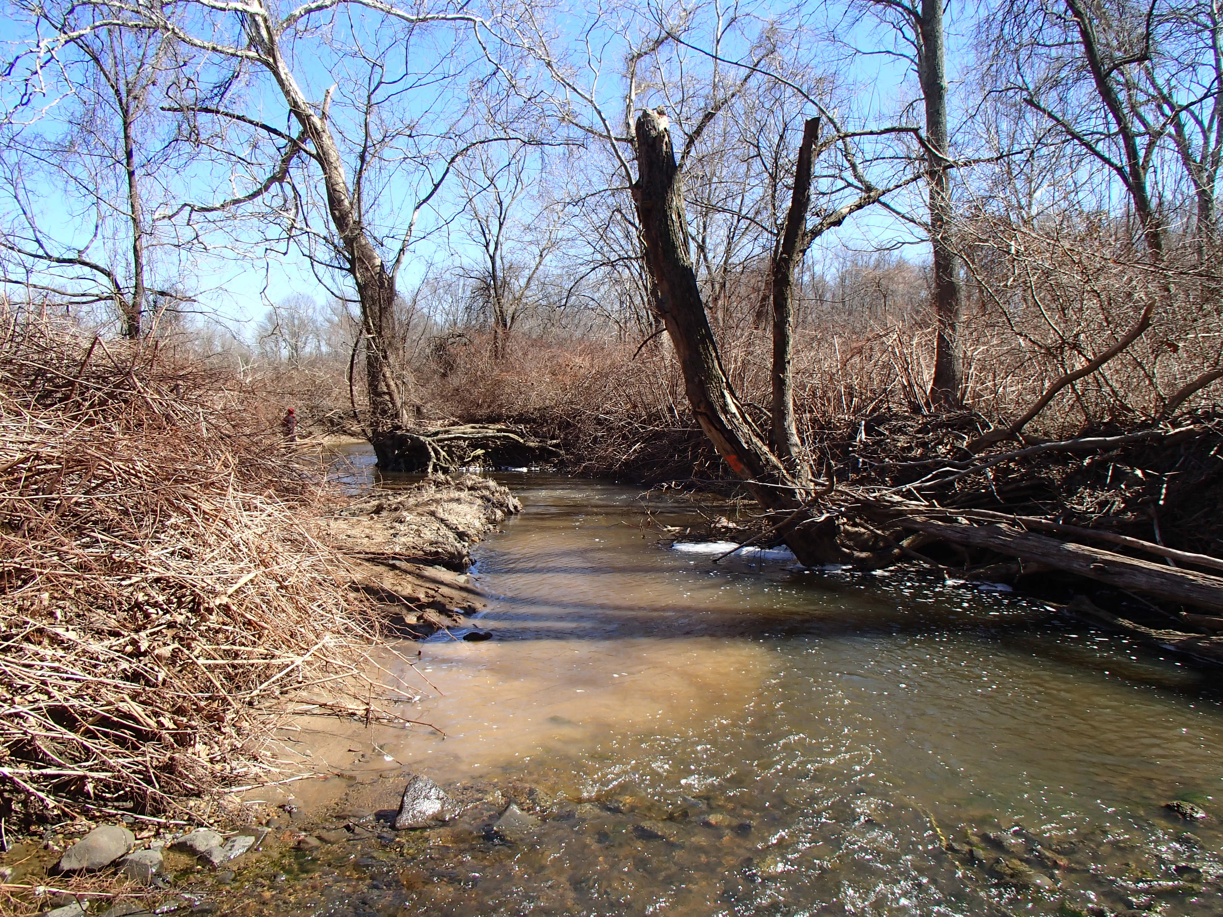 Field photo showing stream conditions at site SWAN-105-R-2014-2