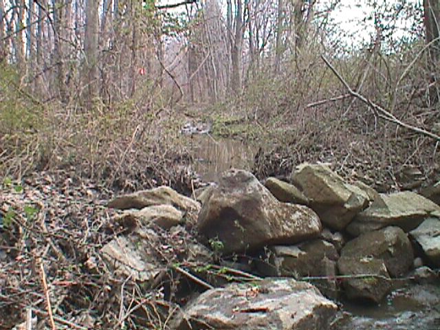 Field photo showing stream conditions at site SWAN-106-R-2000-09_12