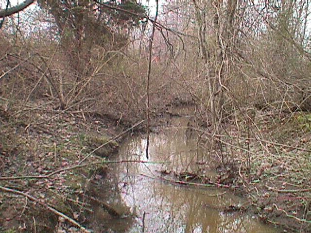 Field photo showing stream conditions at site SWAN-106-R-2000-09_13