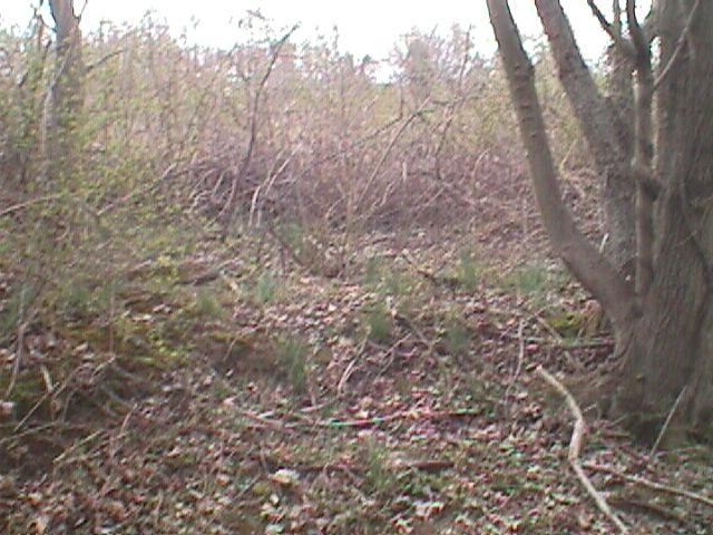 Field photo showing stream conditions at site SWAN-106-R-2000-09_14