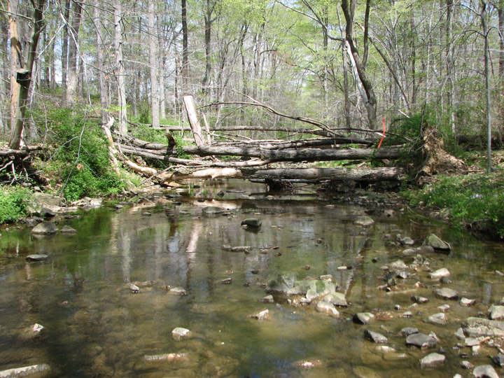 Field photo showing stream conditions at site SWAN-108-B-2008-1