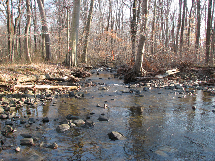 Field photo showing stream conditions at site SWAN-110-B-2008-1
