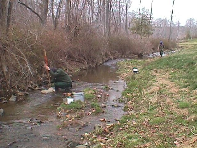Field photo showing stream conditions at site SWAN-110-R-2000-09_15