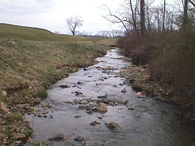 Field photo showing stream conditions at site SWAN-110-R-2000-09_16
