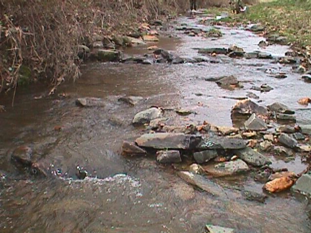 Field photo showing stream conditions at site SWAN-110-R-2000-09_17