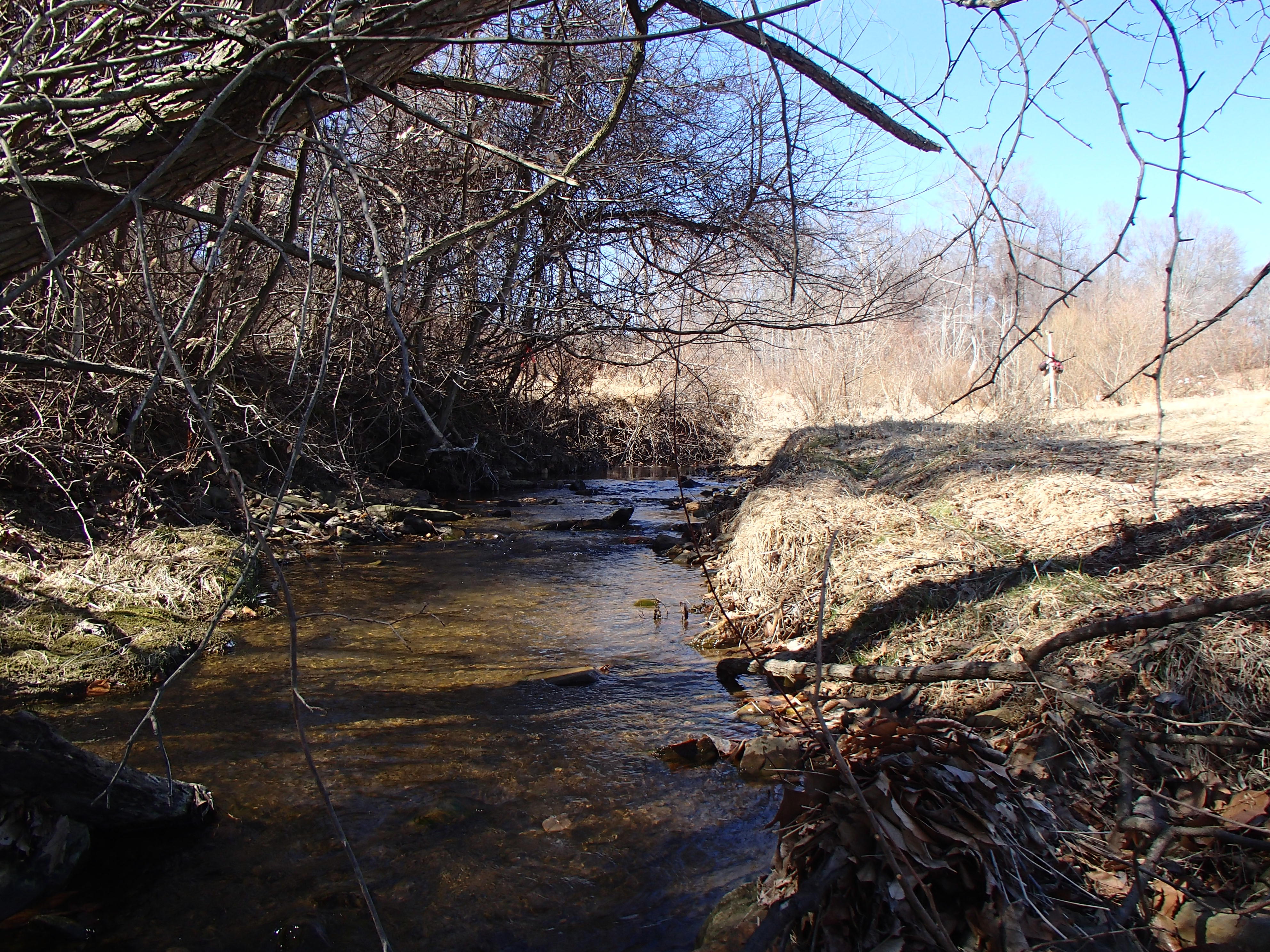 Field photo showing stream conditions at site SWAN-110-R-2014-1