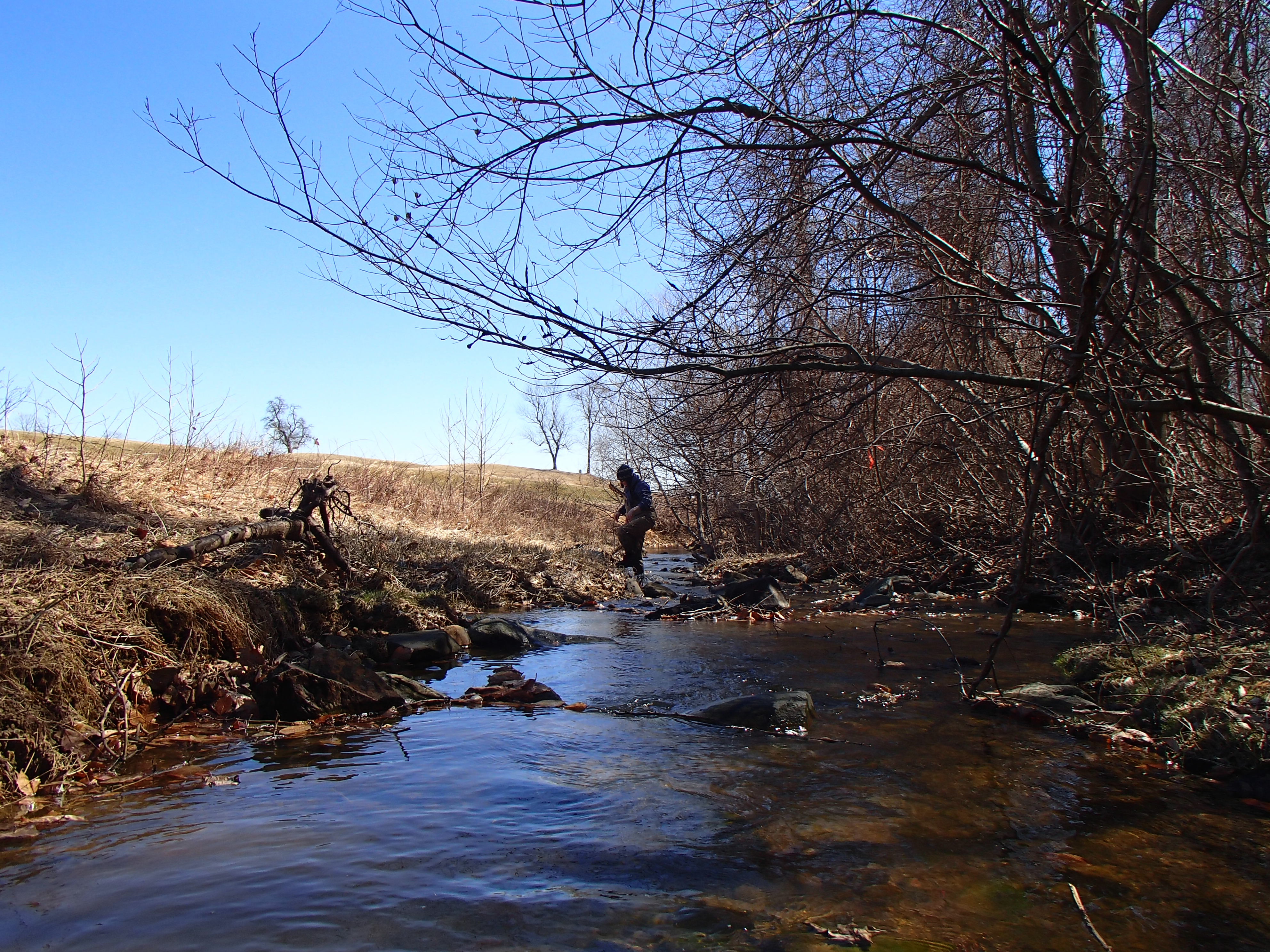 Field photo showing stream conditions at site SWAN-110-R-2014-2
