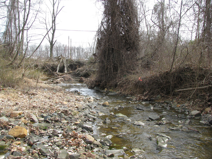 Field photo showing stream conditions at site SWAN-211-R-2009-1
