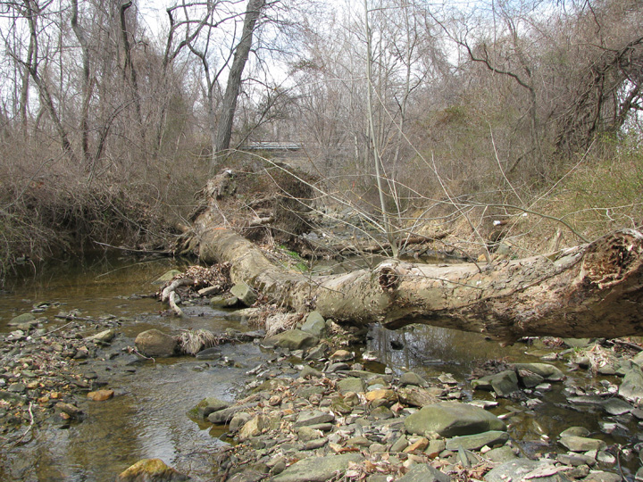 Field photo showing stream conditions at site SWAN-211-R-2009-2