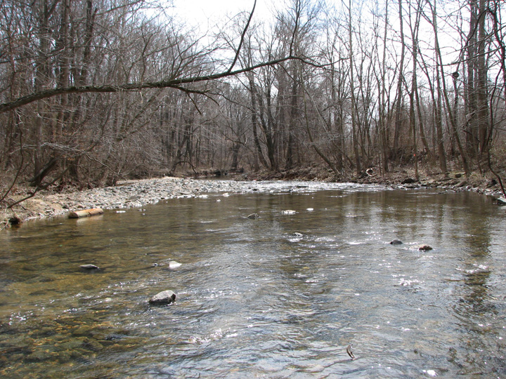Field photo showing stream conditions at site SWAN-250-T-2007-1