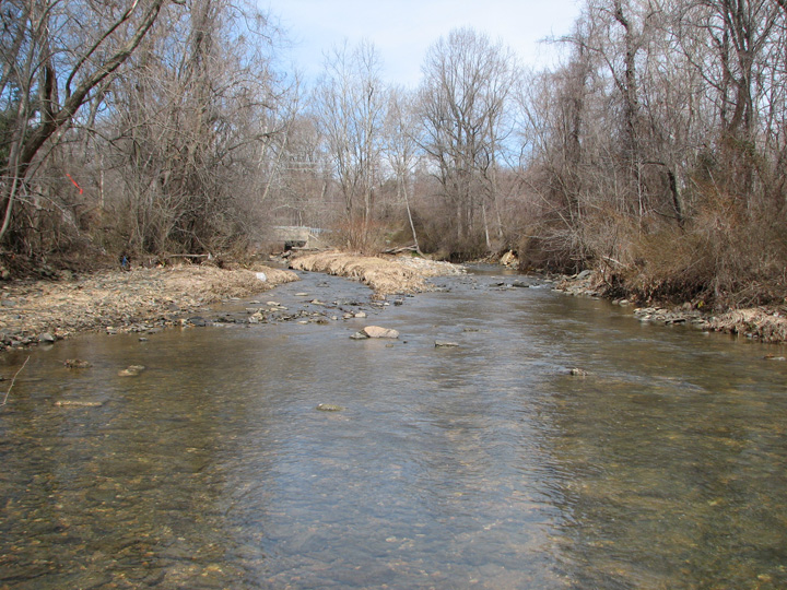 Field photo showing stream conditions at site SWAN-250-T-2007-2